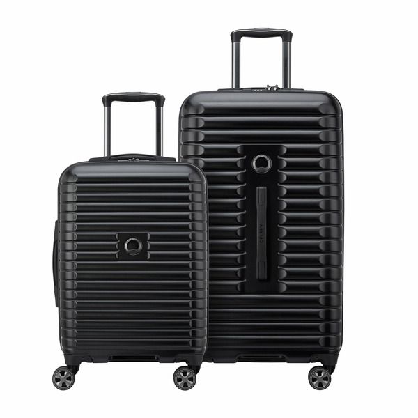 DELSEY 2 PC TRUNK