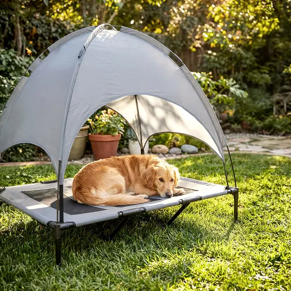 PET CANOPY BED P62