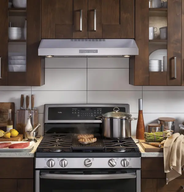 GE Profile 30" Under The Cabinet Hood