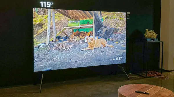 TCL 115QM891G 4K MINI-LED QLED GOOGLE